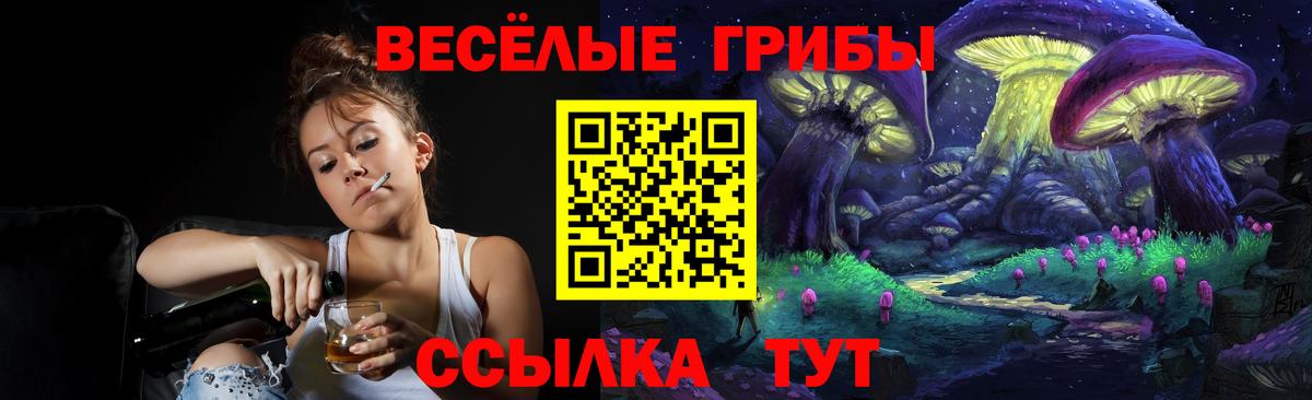 Дзержинск  Галлюциногенные грибы Psilocybine cubensis  как найти закладки  Вход с VPN 